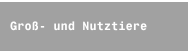 Groß- und Nutztiere