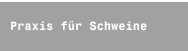 Praxis für Schweine